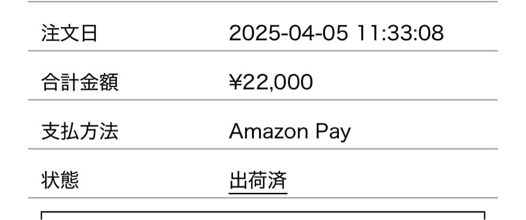アルティーダウード　⭐️4月に購入⭐️ピアス　片耳用