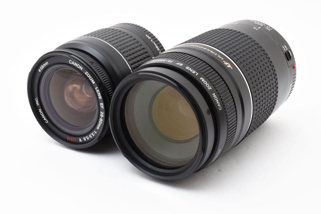 フルサイズCanon EOS 5D MarkIII標準&望遠ダブルレンズセット