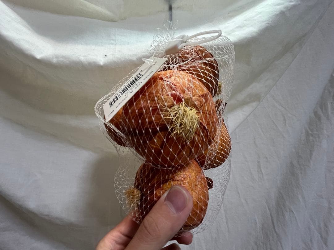 展示品 タマネギ 食品サンプル 56個入 飲食 小物 雑貨 イメージ