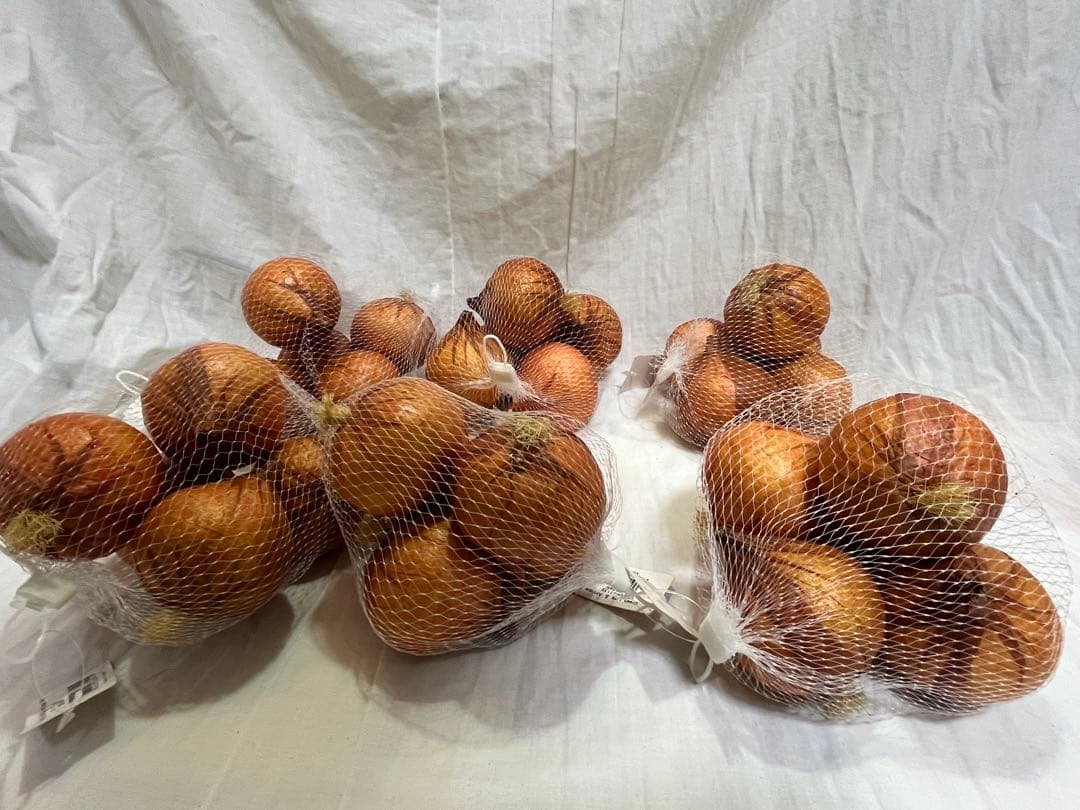 展示品 タマネギ 食品サンプル 56個入 飲食 小物 雑貨 イメージ