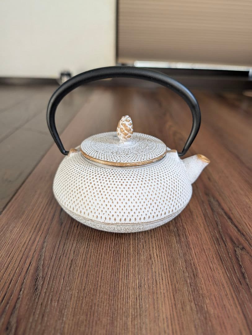 Roji（ロジアソシエイツ） 南部鉄器 急須 あられ