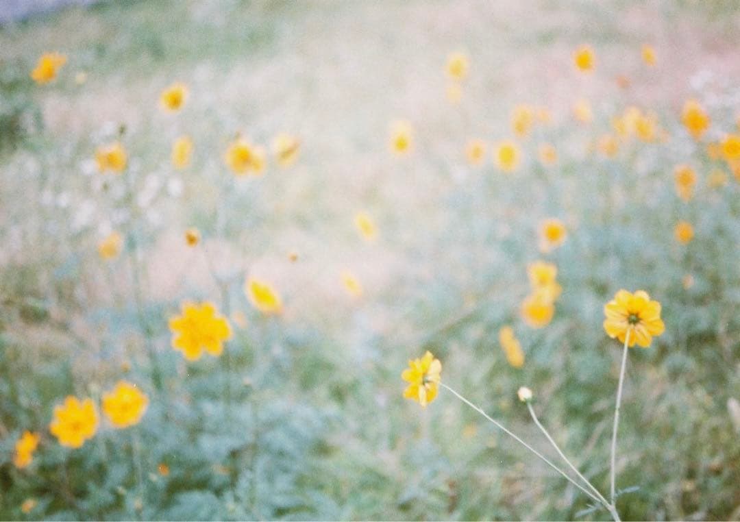 【動作確認・清掃済み】OLYMPUS PEN EED 32mm f1.7