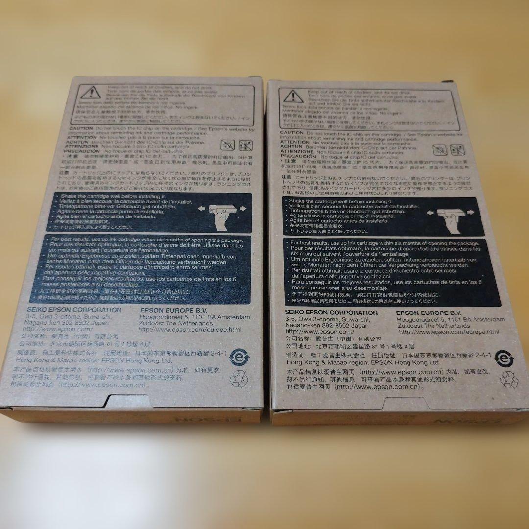 EPSON ICLM39A ICL39A インクカートリッジ 推奨使用期限切れ