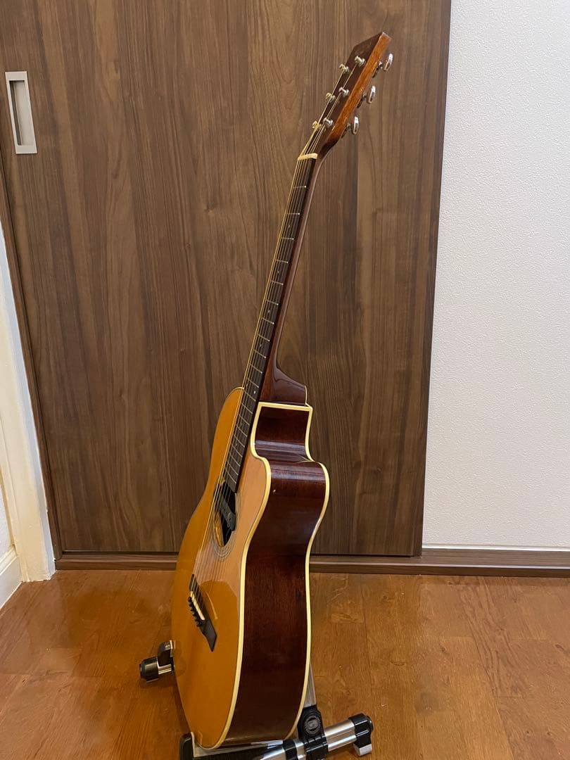 ギター Recording King RP1-16c / Adeline pickup