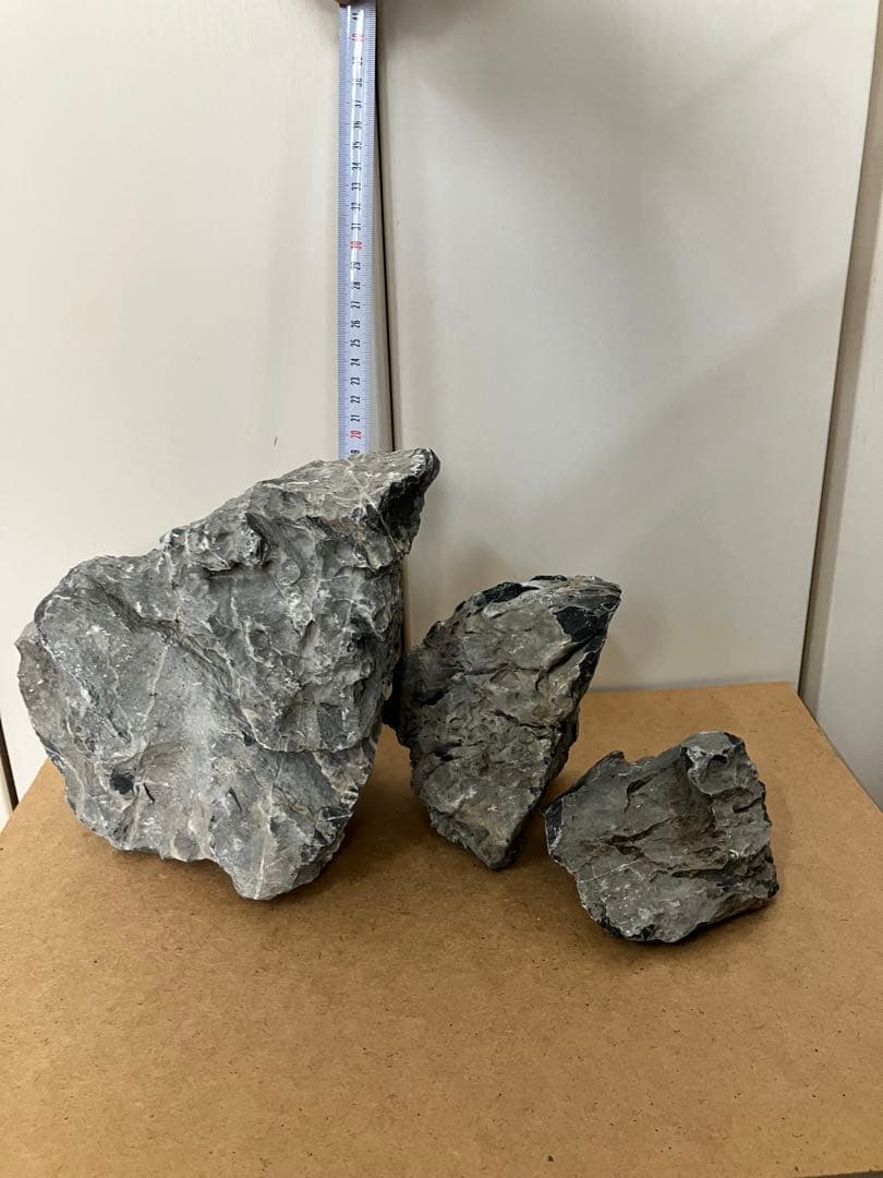 ADA 龍王石　約8.8kg