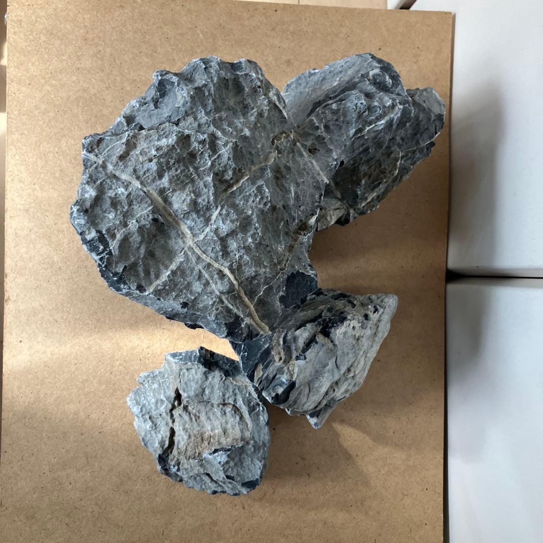 ADA 龍王石　約8.8kg