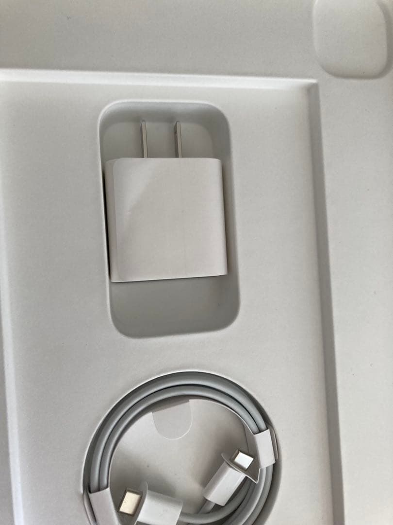 アップルケア付　iPad Pro 11 256GB スペースグレイ