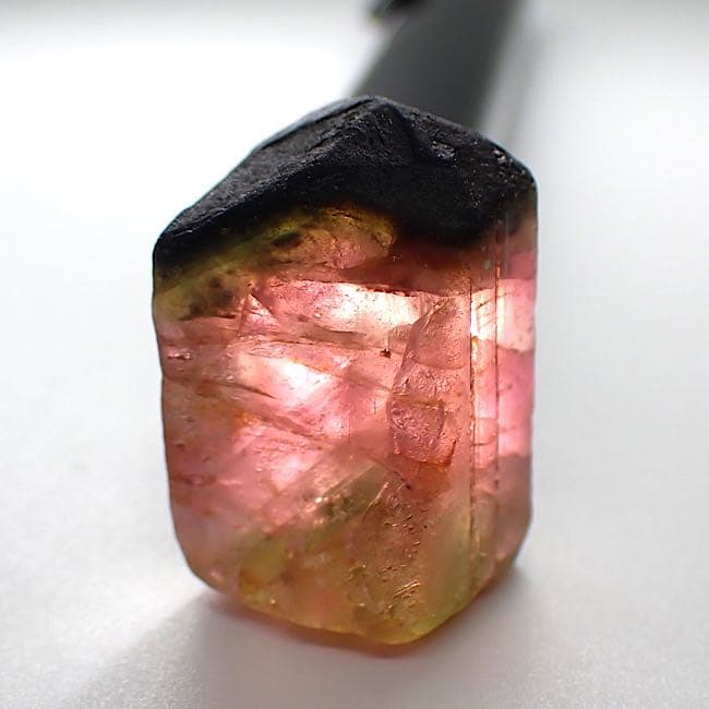 【パキスタン産】トリカラートルマリンの原石