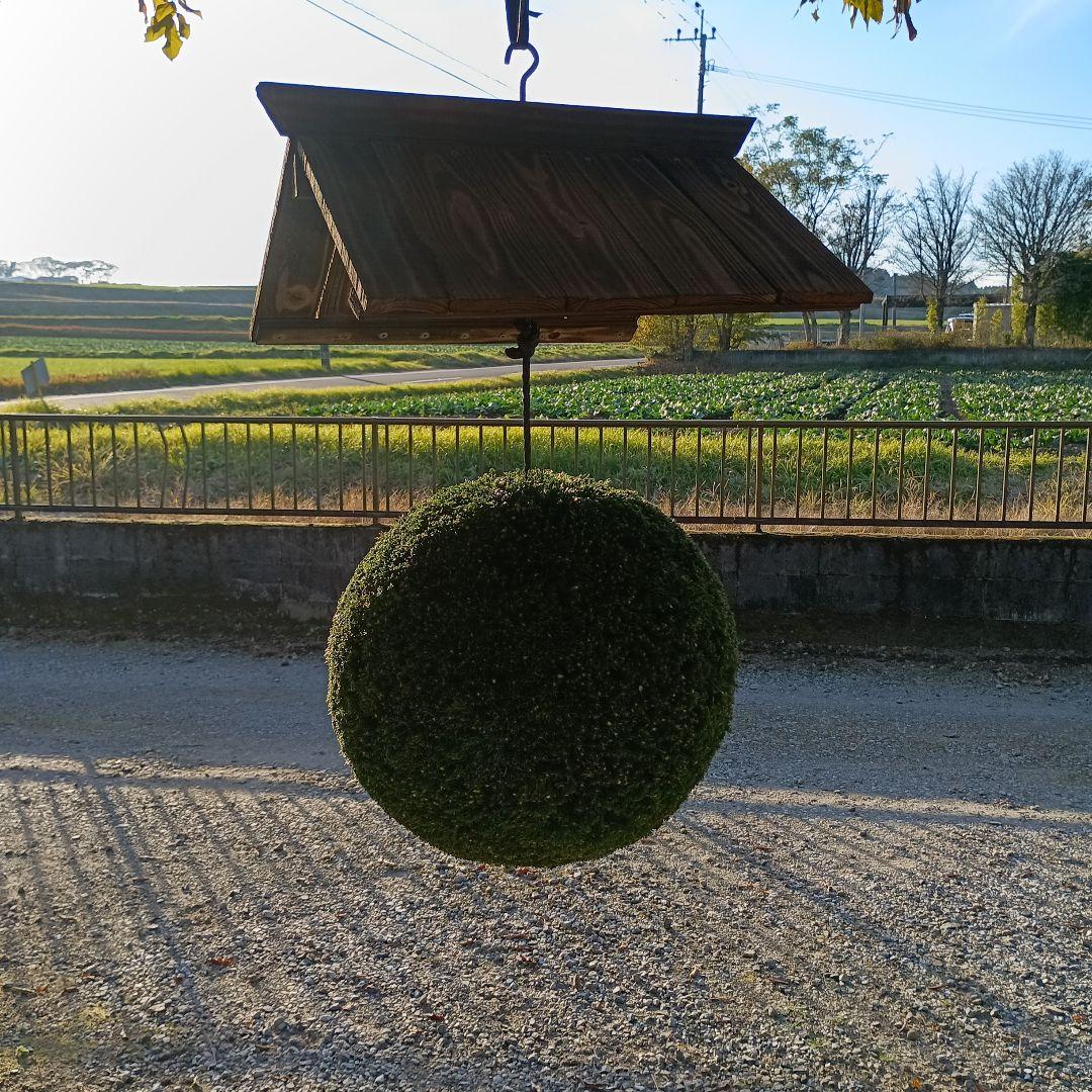 杉玉、屋根付き　杉玉直径37ｃｍ