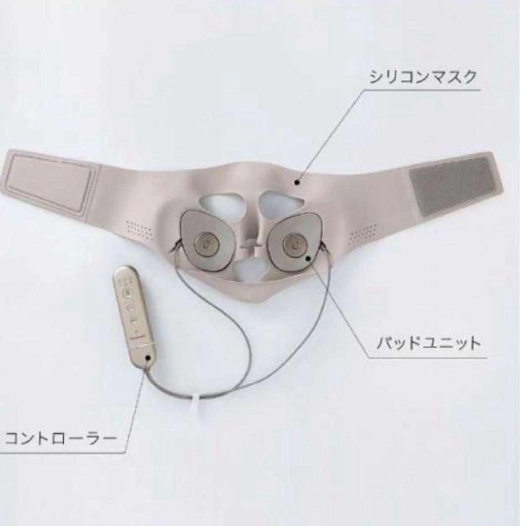 パナソニック Panasonic マスク型イオン美顔器 イオンブースト