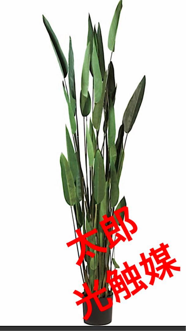 光触媒　人工観葉植物　ウォールグリーン　フェイクグリーン　フラワー　カンナ200