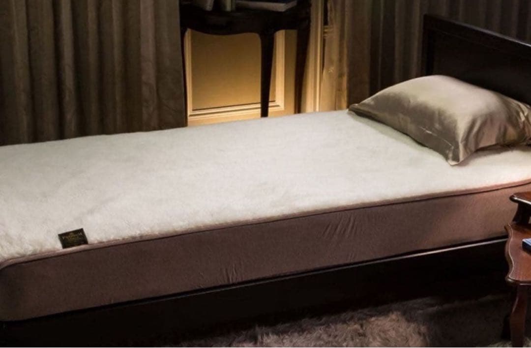 The PREMIUM Sofwool 敷き毛布 シングル