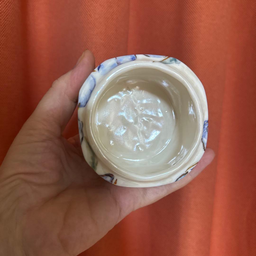 アイリスボックス . 新しいコレクション