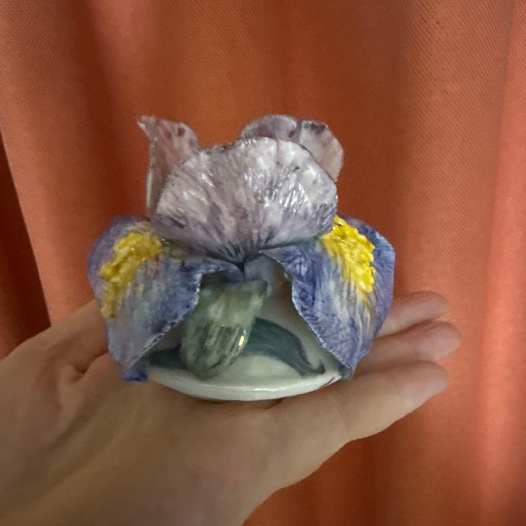 アイリスボックス . 新しいコレクション