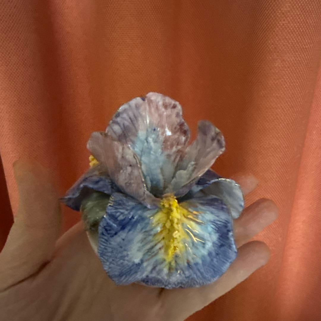 アイリスボックス . 新しいコレクション