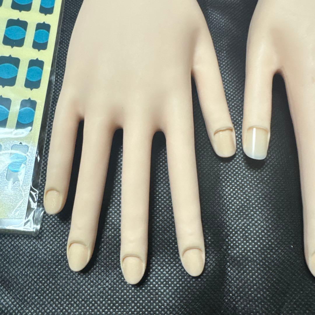 ネイル検定用ハンド ST ◆モデルハンド セット