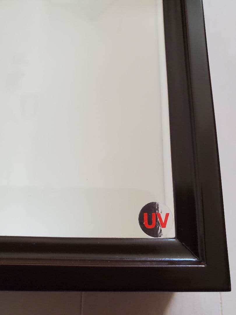 バードウィング社BW60UV 大型標本ケース 茶