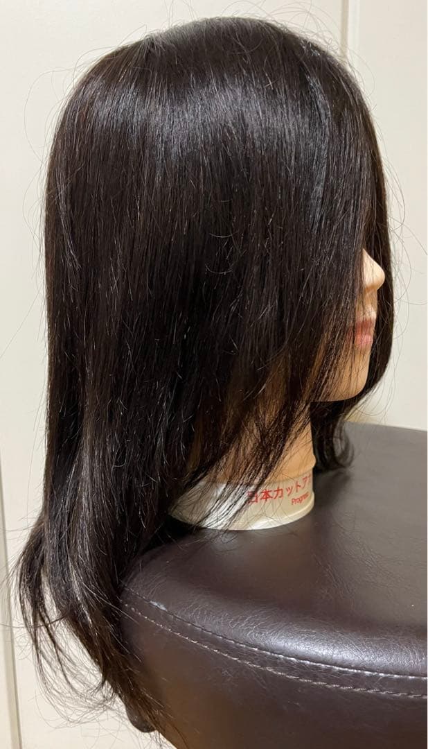 カットウィッグ　人毛100% プログレーソ 日本カットアカデミー 2体セット