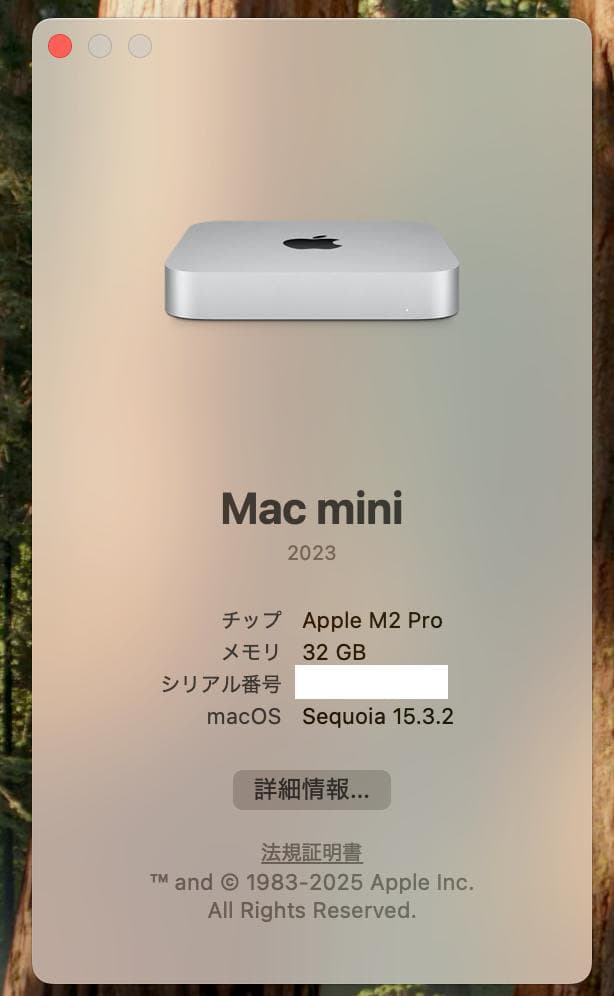 Macデスクトップ Apple Mac mini M2 Pro 32GB