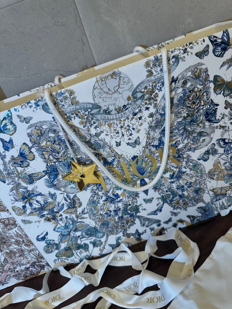 Dior ショッピングバッグ 2点セット