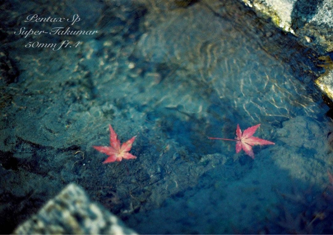 ★作例多数PENTAX SP/S.Takumarf1.4★完動品＊美品＊初期保証