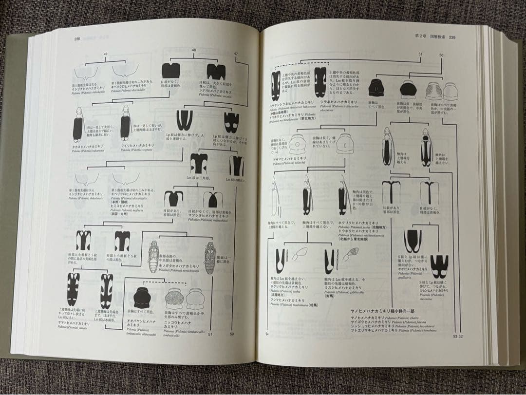 「日本産カミキリムシ」東海大学出版会