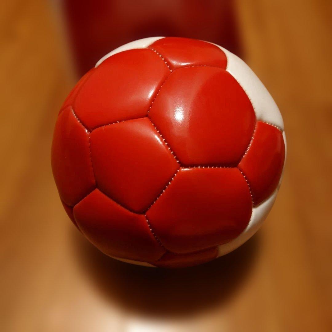 ポロスポーツボール