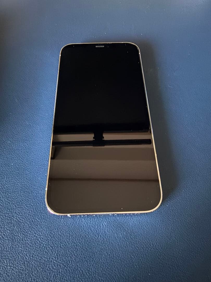 Apple iPhone 12 Pro シルバー 本体256GB