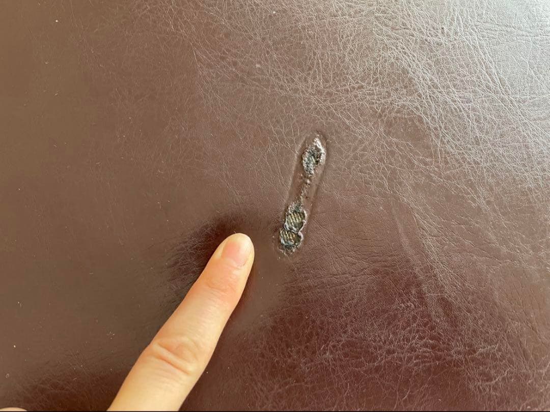 リクライニングベッドEX 電動昇降 オメガ式