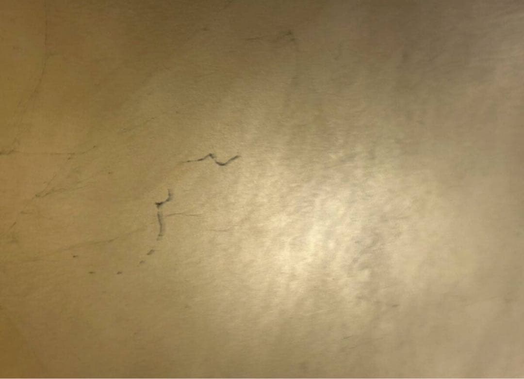 カッシーナ cassina Sonora 490 ライト 照明 インテリア