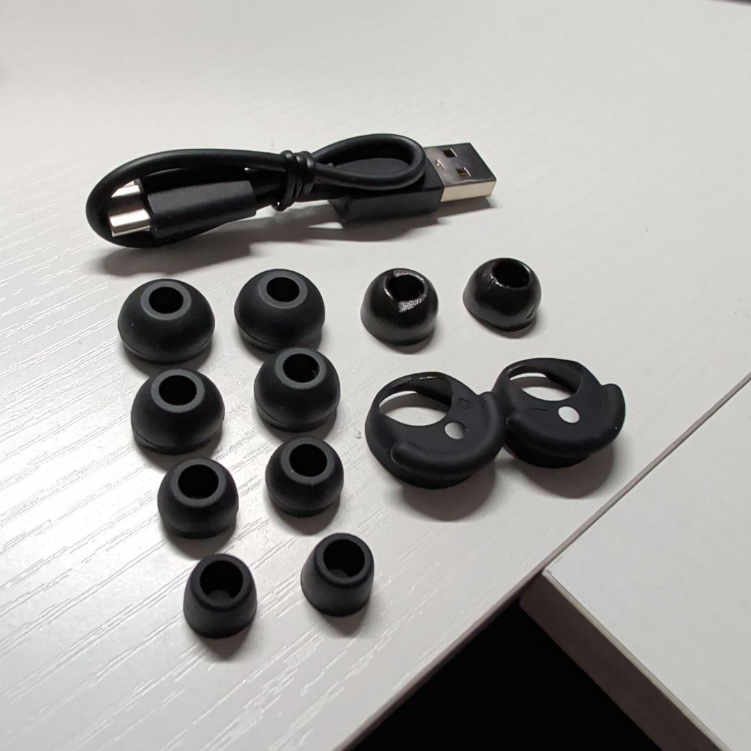 イヤホン DENON PerL Pro