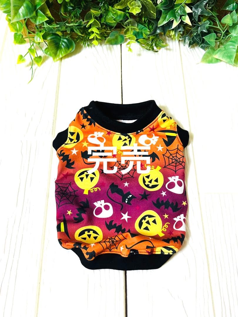 犬服ハンドメイド　ハロウィン確認②