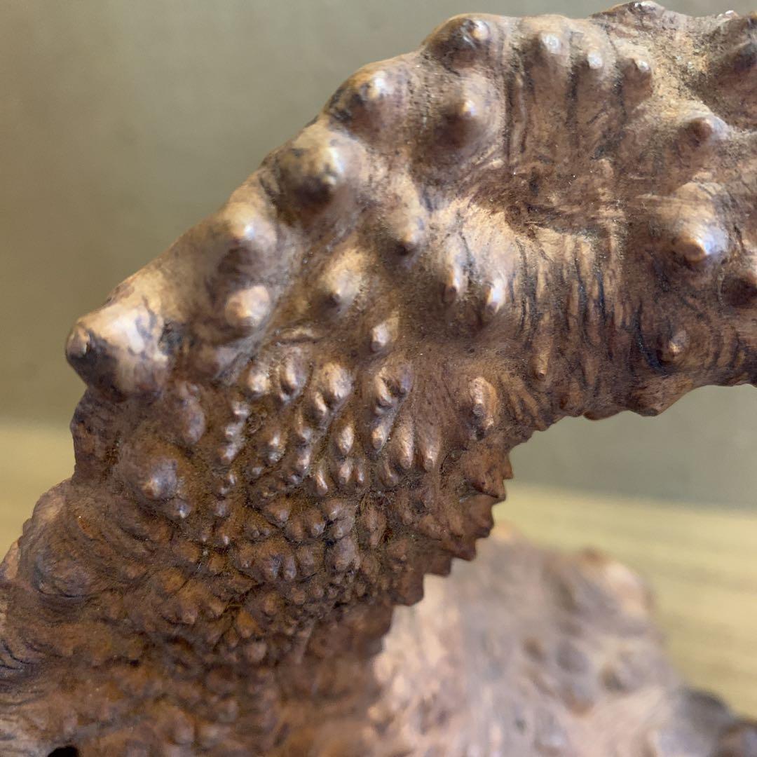 変木 天然木 飾り木 龍 動物 インテリア 工芸品 木工 木彫