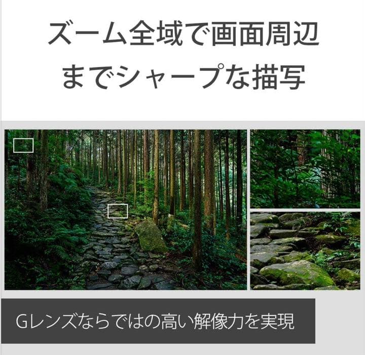 超美品 SONY FE 24-105mm F4 G OSS SEL24105G