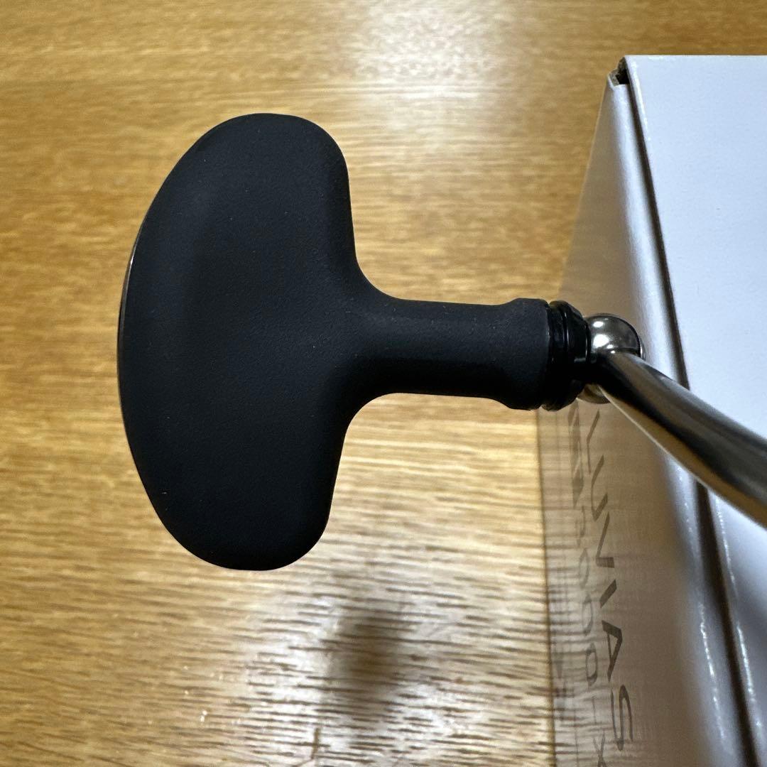 DAIWA / ダイワ　20ルビアス　 LT3000-XH