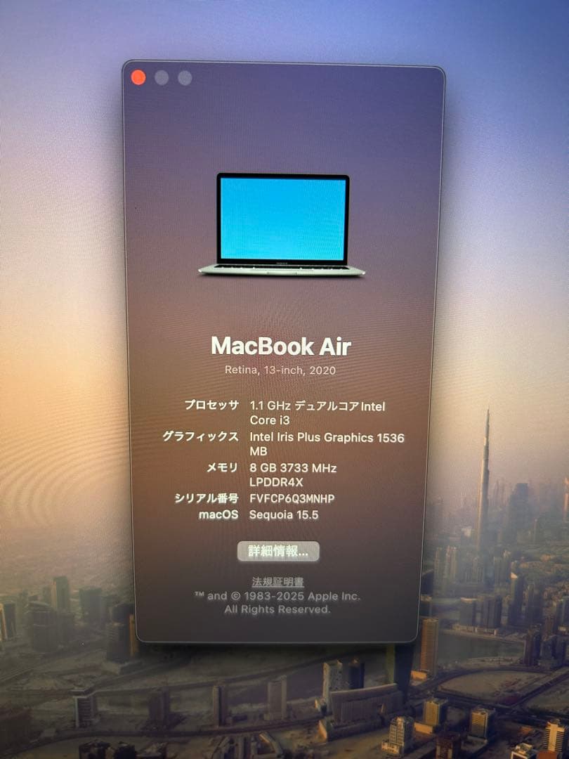 Apple MacBook Air 2020 13インチ マジックマウス付き