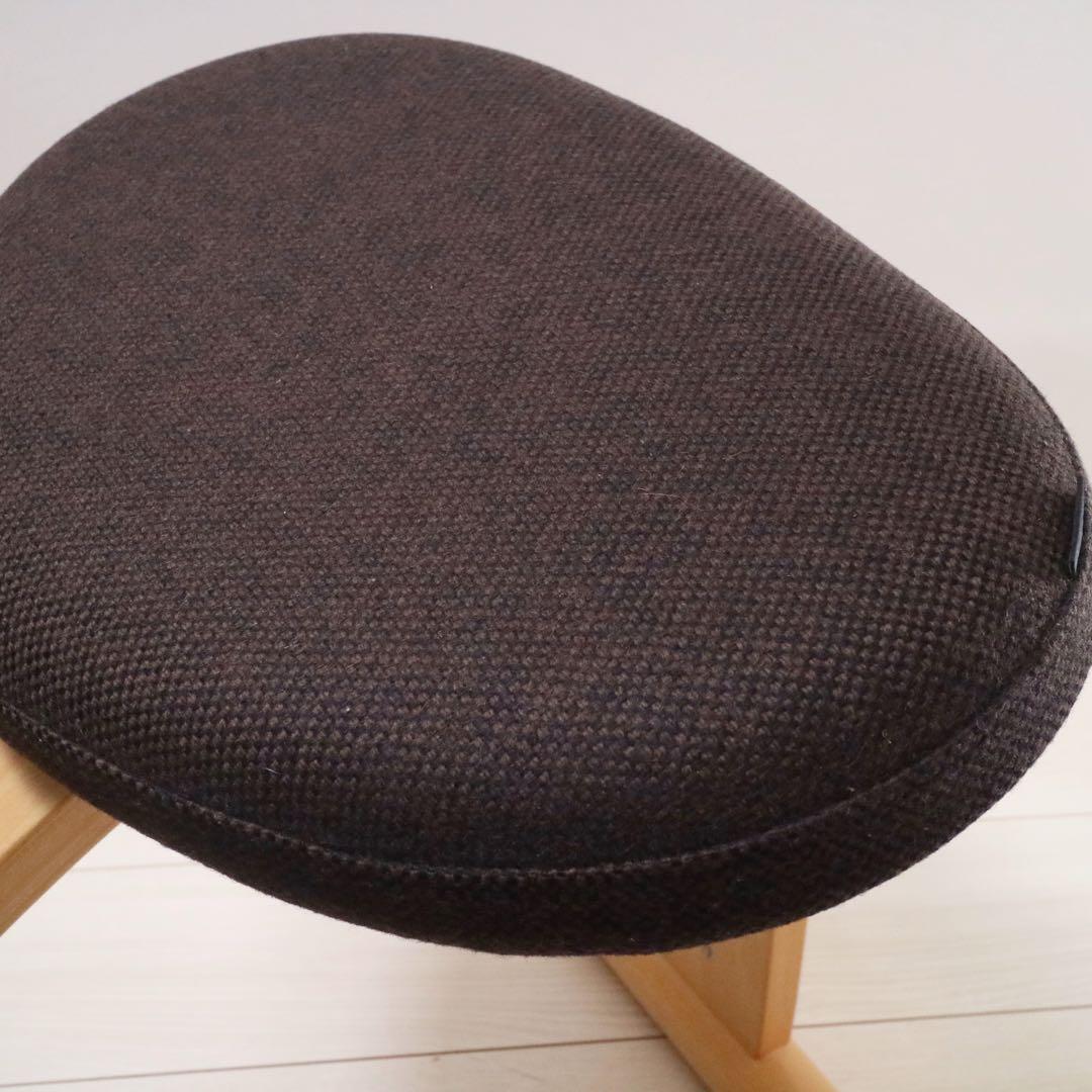 バランスイージー バランスチェア 通常フレーム 背筋矯正