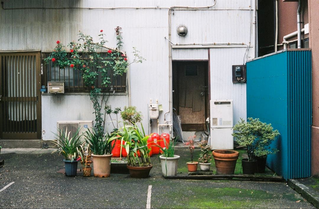 【美品】Leica M4 クローム ＋ 沈胴Summicron 50mm f2