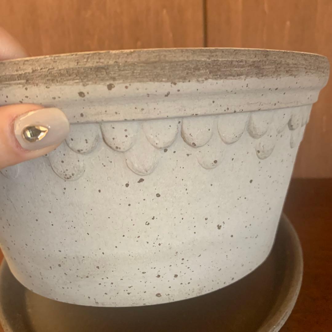 バーグスポッター Low 21 デンマーク コペンハーゲン　ビオラ　鉢