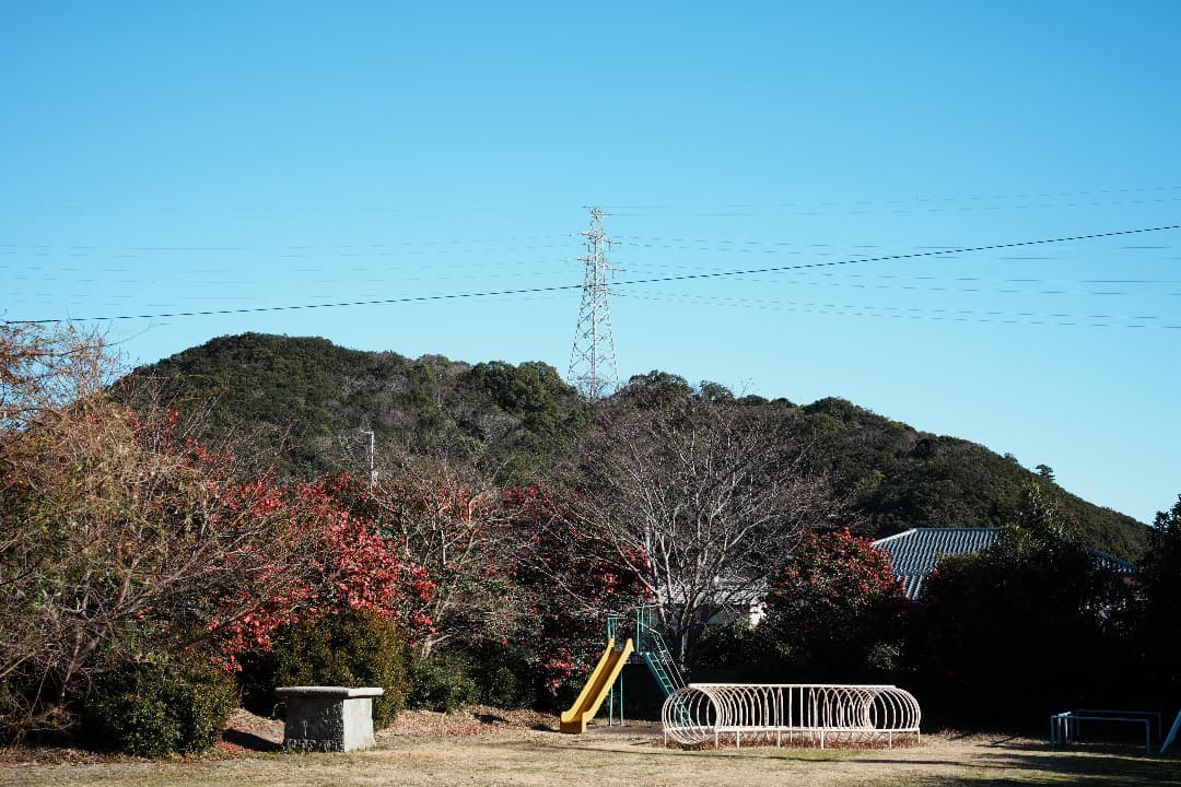 未使用級美品 Voigtlander APO-Lanthar 50mm F2