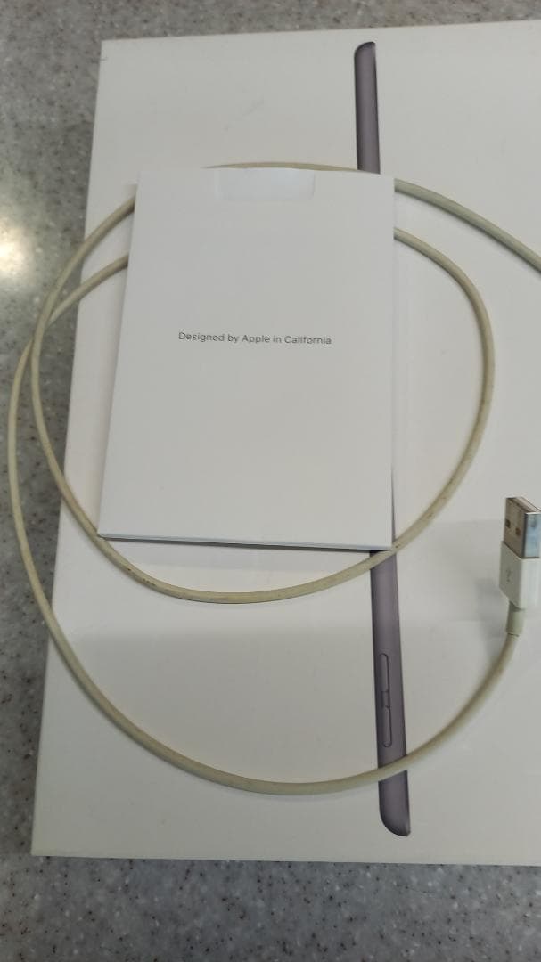 Apple iPad 第7世代 128GB MW772J/A スペースグレイ