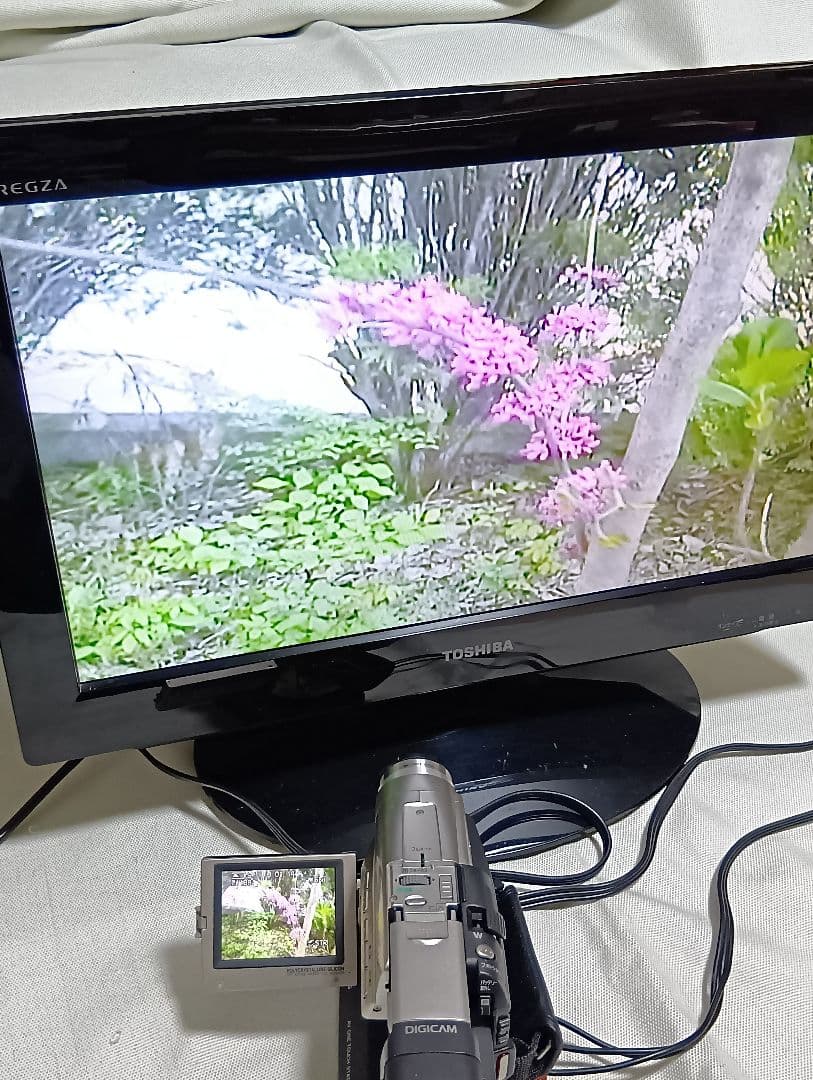 パナソニック　デジタルビデオカメラ　PANASONIC NV-C2