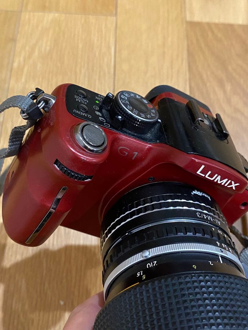 LUMIX G1 ミラーレス一眼　ニコンシリーズE 70-210 動作品　望遠