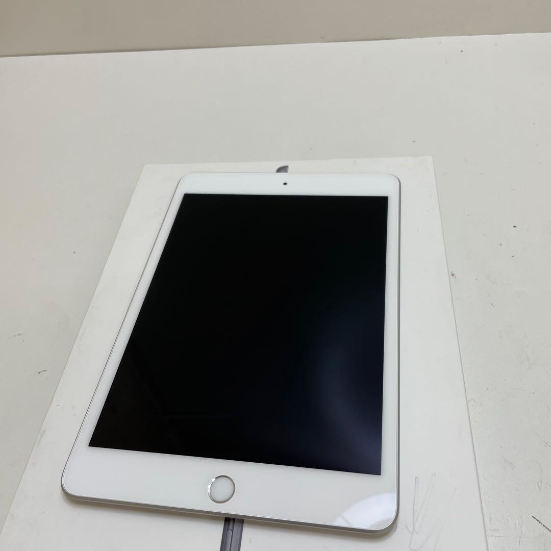 iPad Mini 第5世代 64GB Wi-Fi 100%