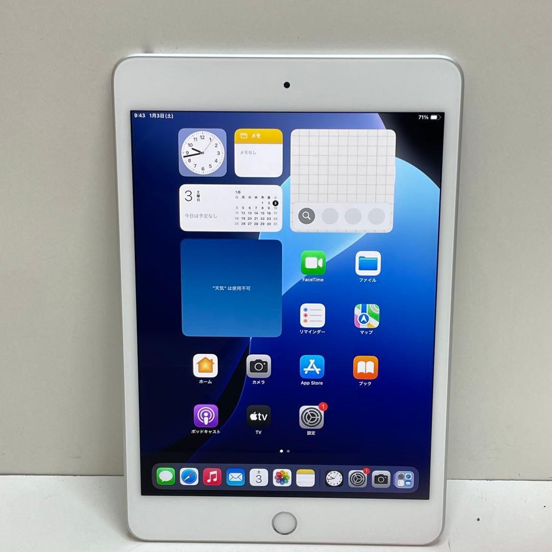 iPad Mini 第5世代 64GB Wi-Fi 100%
