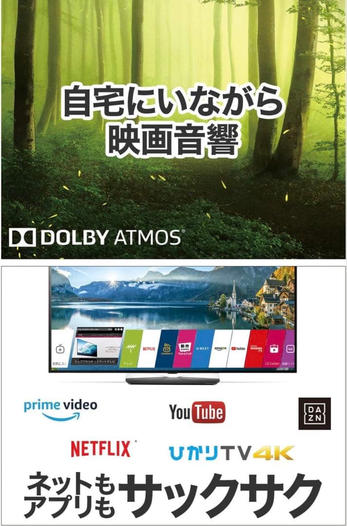 LG 49V型 4Kチューナー内蔵 液晶テレビAlexa搭載 ドルビーアトモス