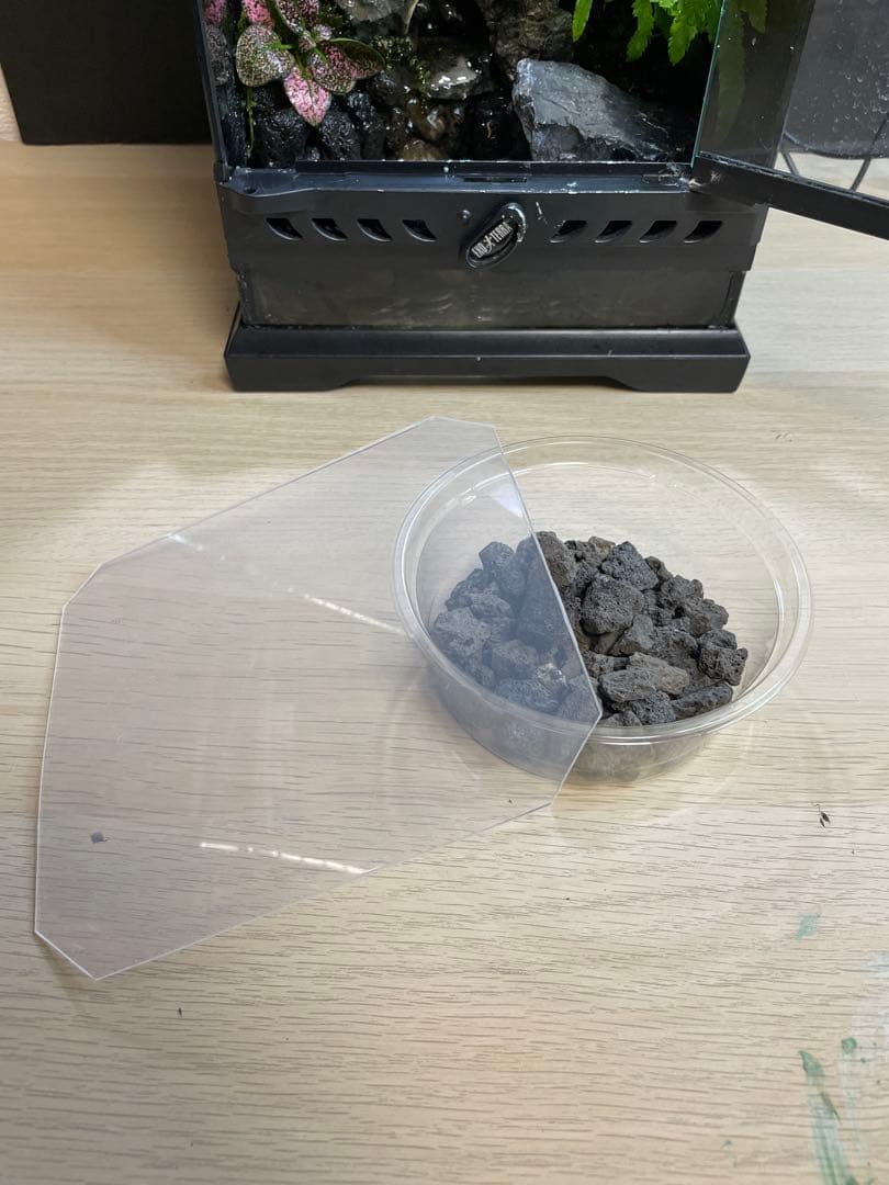 【完成品】2段の滝があるアクアテラリウム