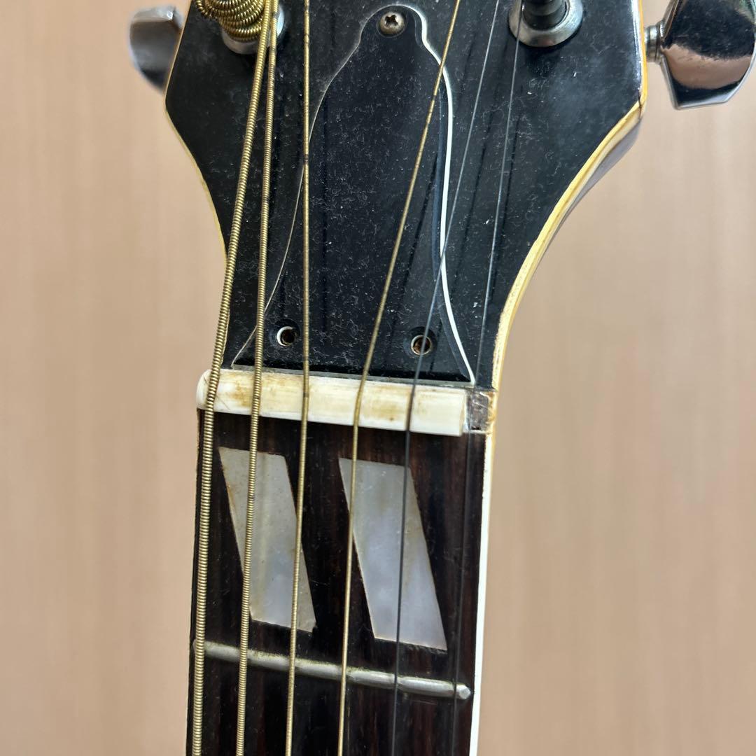 【レア品】pro martin w-35 アコースティックギター　ピックガード付