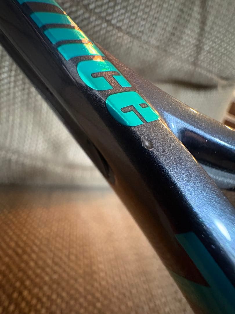 岐阜タンメン Prince tour 98 2025 g2 プリンスツアー