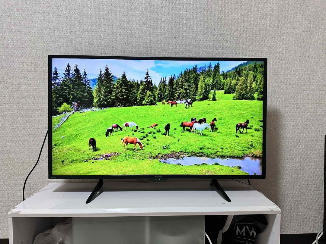 4K 対応SHARP 42インチ 液晶テレビ 2023年製4T-C42DH1